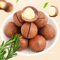 Wholesale Delicious Healthy Dried Fruits Shelled Macadamia